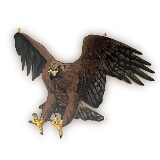 Aquila in Attacco